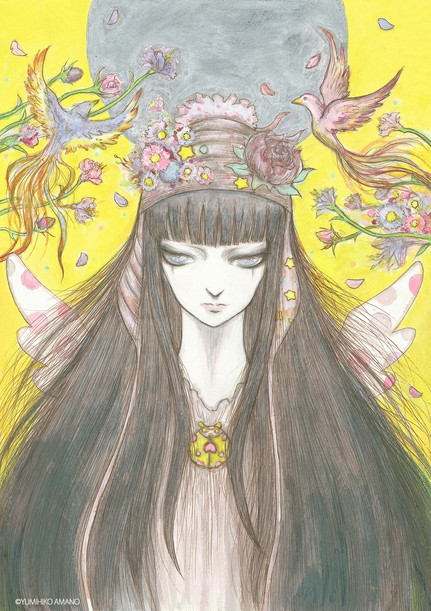 天野弓彦《KAGUYA》