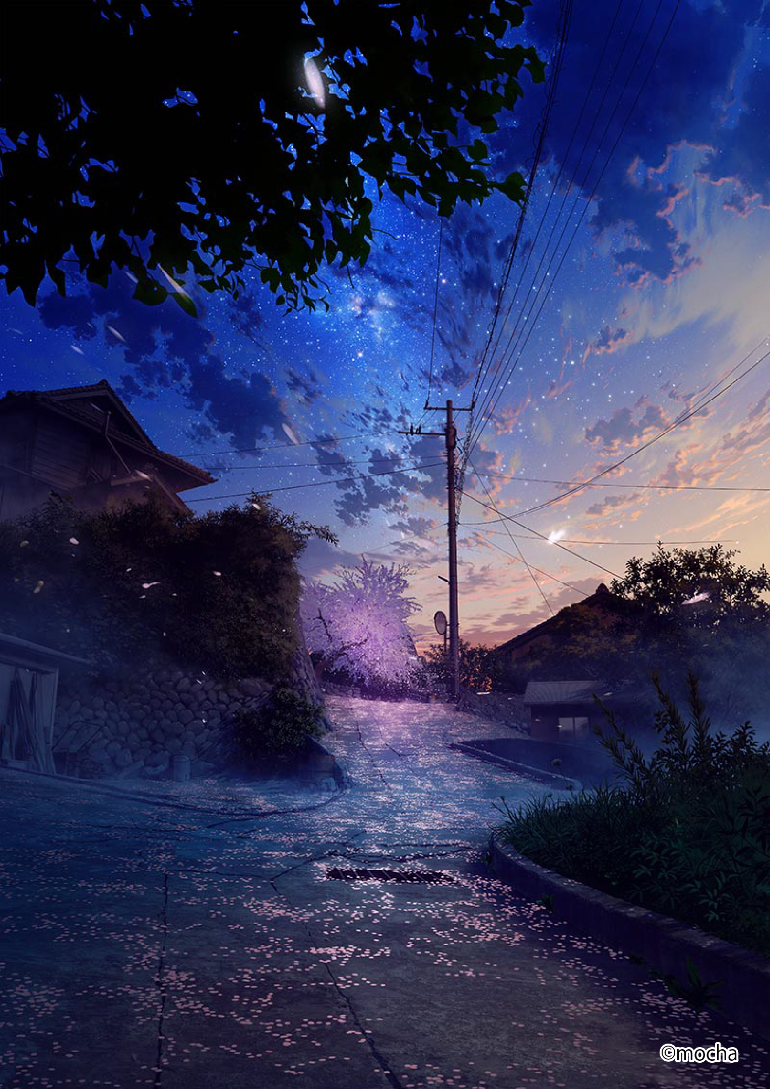 mocha《桜流れ》
