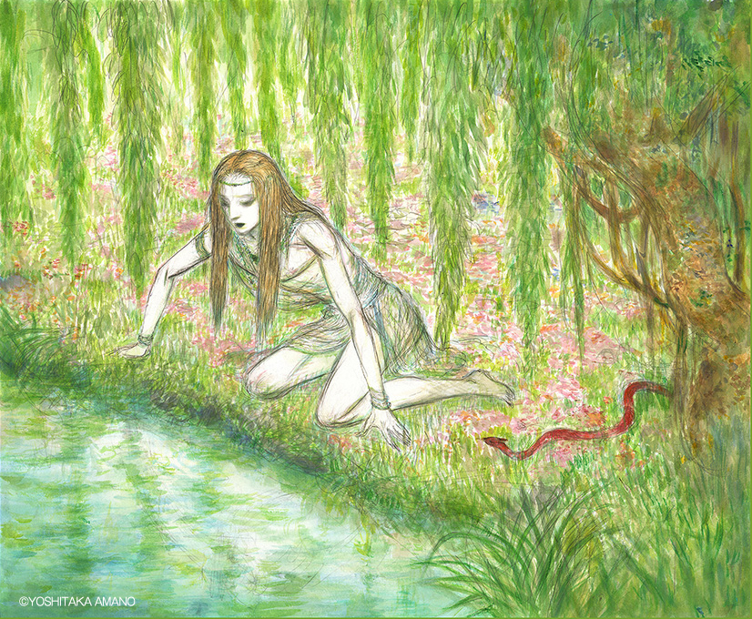 天野喜孝《泉 MIRROR》