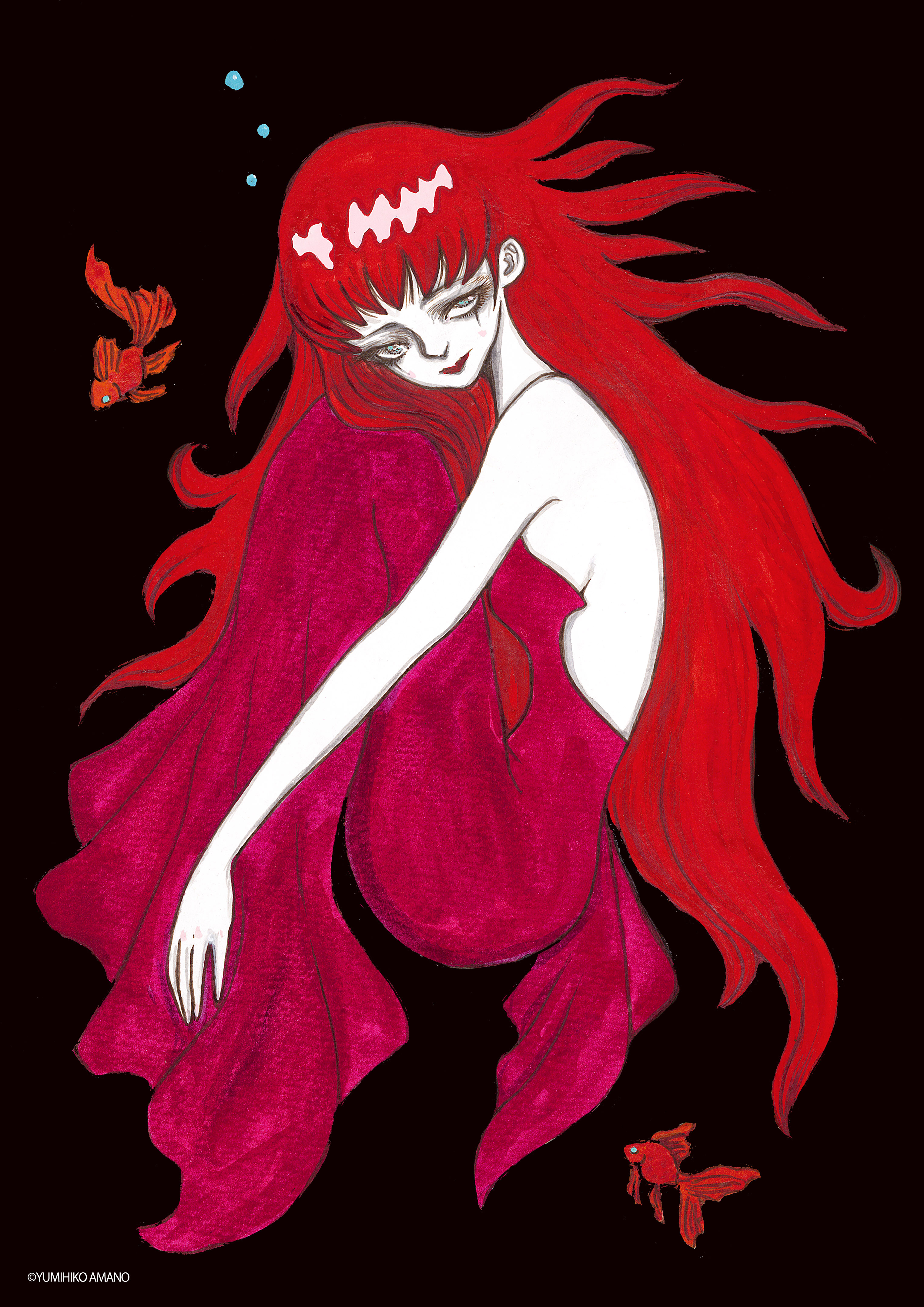 天野弓彦《金魚姫》